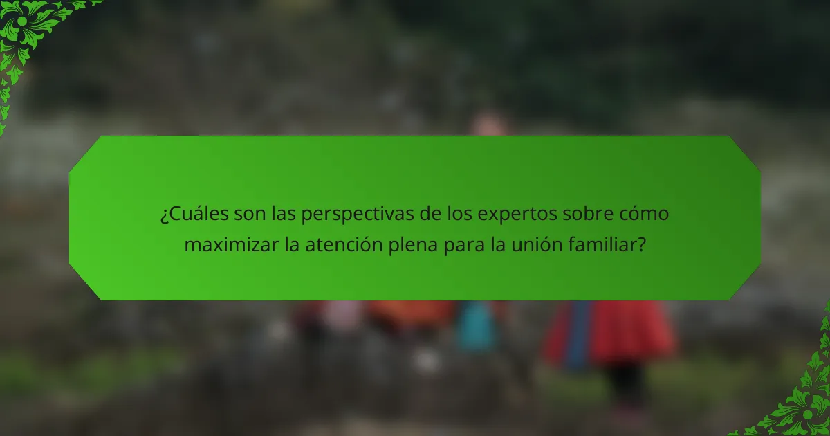 ¿Cuáles son las perspectivas de los expertos sobre cómo maximizar la atención plena para la unión familiar?