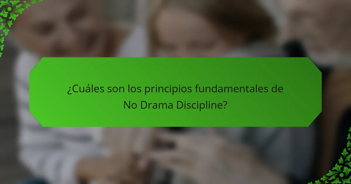 ¿Cuáles son los principios fundamentales de No Drama Discipline?