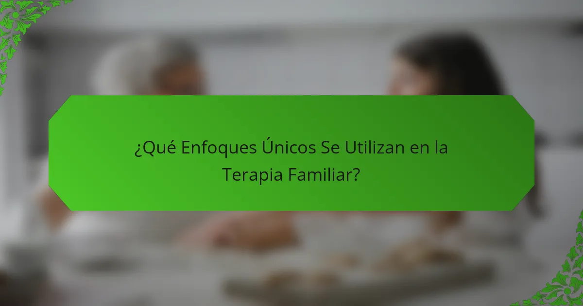 ¿Qué Enfoques Únicos Se Utilizan en la Terapia Familiar?