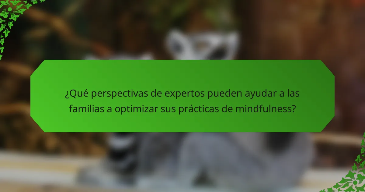 ¿Qué perspectivas de expertos pueden ayudar a las familias a optimizar sus prácticas de mindfulness?
